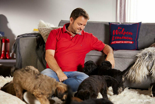 Martin Rütter sitzt und spielt im Wohnzimmer mit zwei Hunden