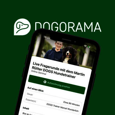 Aufzeichnung des Online-Seminars "Fragerunde mit Martin Rütter Hundetrainer Marcel Wunderlich" in Dogorama