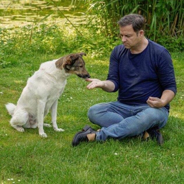 Martin Rütter gibt Hund ein Leckerli auf flacher Hand.