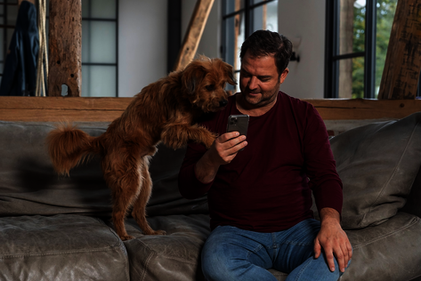Martin Rütter zeigt einem Hund etwas auf seinem Handy
