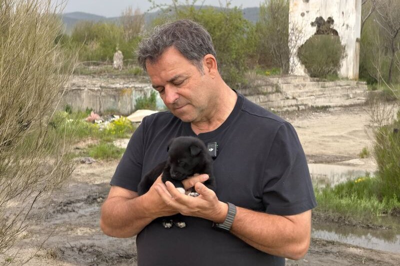 Martin Rütter hält ausgesetzten Hundewelpen auf dem Arm in Rumänien