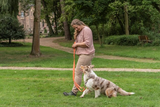 Hund läuft die ersten Schritte an der Leine neben einer Hundetrainerin
