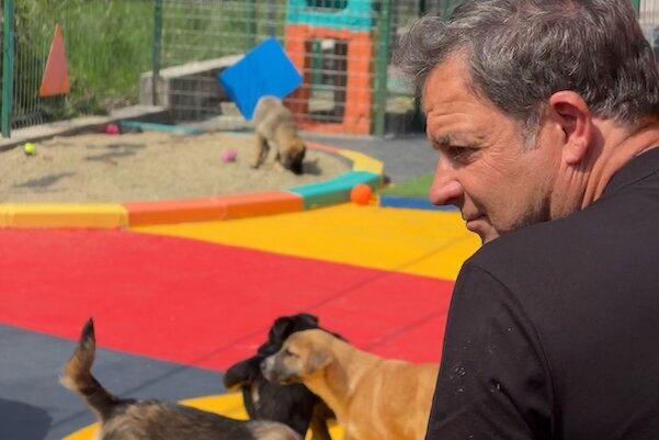 Martin Rütter auf Tierschutzreise in Rumänien im Tierheim