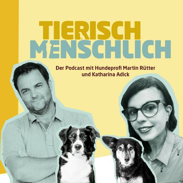 Martin Rütter und eine weibliche Person befinden sich hinter zwei Hunde