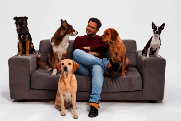 Martin Rütter sitzt auf dem Sofa mit fünf Hunden