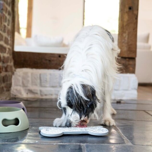 Ein Hund leckt Hundeeis von einer als Knochen geformten Leckmatte