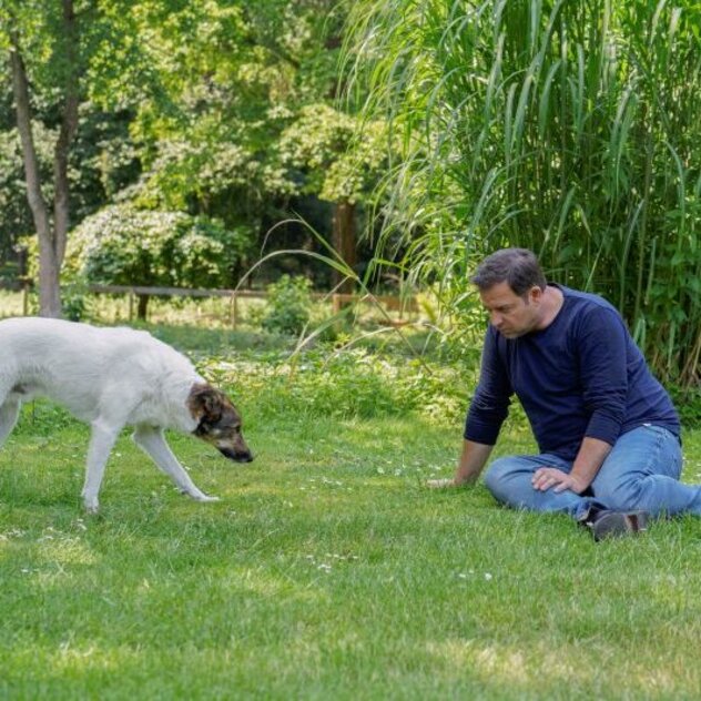 Martin Rütter sitzt auf einer Wiese während sich ein ängstlicher Hund langsam nähert.