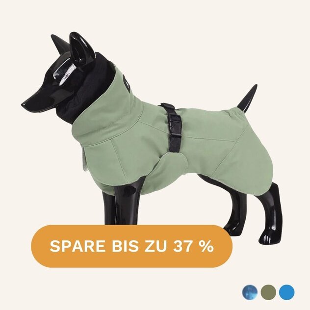 Wintermantel in Khaki – spare bis zu 37 %