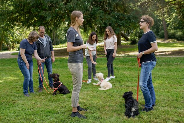 Diverse Menschen, die mit ihren Hunden in der Natur stehen und sich miteinander unterhalten