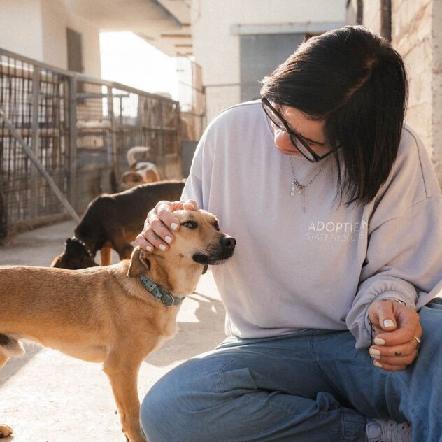 Martin Rütter Hundetrainerin Dolores Hofmann streichelt Hund aus dem Tierschutz am Kopf