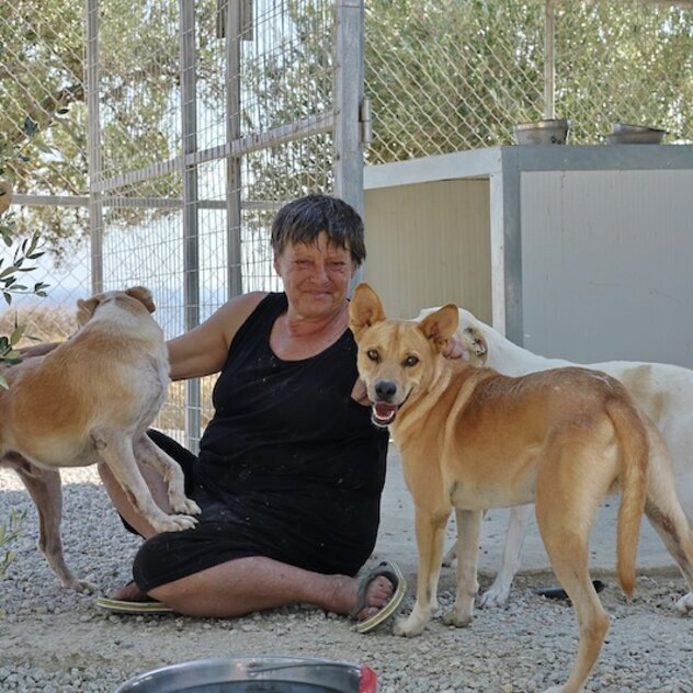 Tierschützerin Maria Fragkouli mit ihren Tierschutzhunden auf Kreta