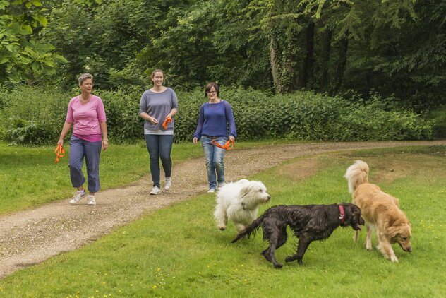 Drei Personen gehen spazieren, drei Hunde sind daneben auf einer Wiese im Freilauf.