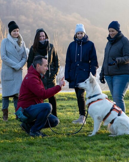 Fünf Personen schauen zu, wie die sechste Person dem Hund etwas zeigt