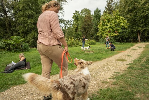 Ein Hund läuft mit lockerer Leine an anderen Menschen mit Hund vorbei