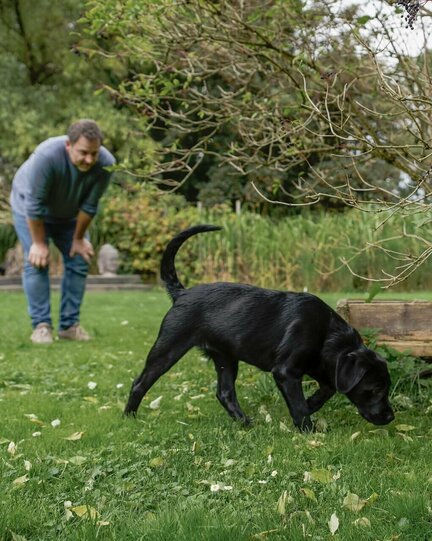 Martin Rütter schaut einem Hund beim schnüffeln zu