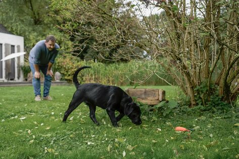 Martin Rütter schaut einem Hund beim schnüffeln zu