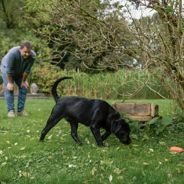 Martin Rütter schaut einem Hund beim schnüffeln zu