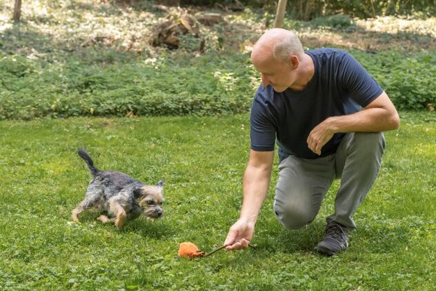 Hundehalter spielt mit kleinem Hund