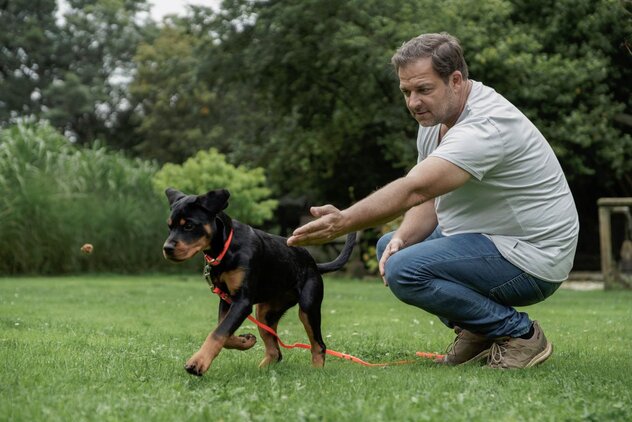 Martin Rütter wirft Leckerli für einen Hund an der Leine