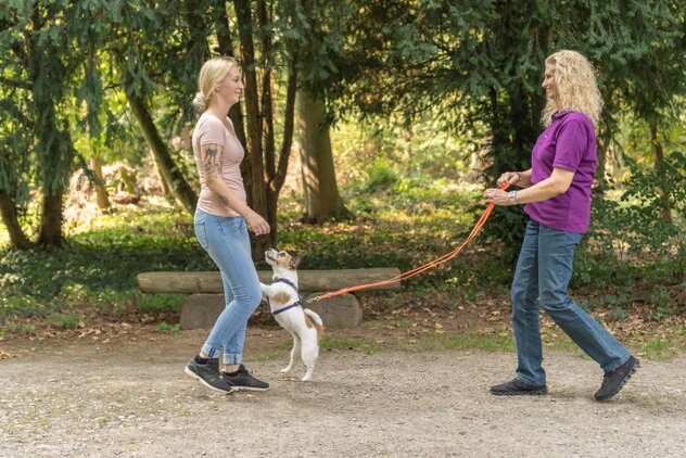 Zwei Frauen laufen aufeinander zu. Kleiner Hund springt am Bein hoch.