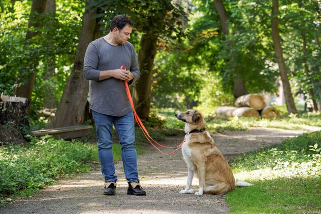 Hund sitzt und schaut hoch zu Hundeprofi Martin Rütter