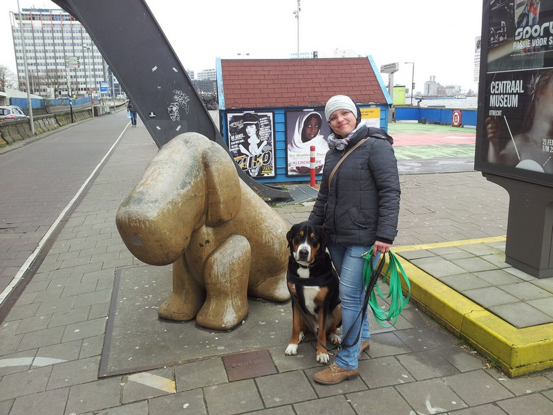 enhed Procent mord Amsterdam mit Hund - Martin Rütter DOGS Halle/Naumburg