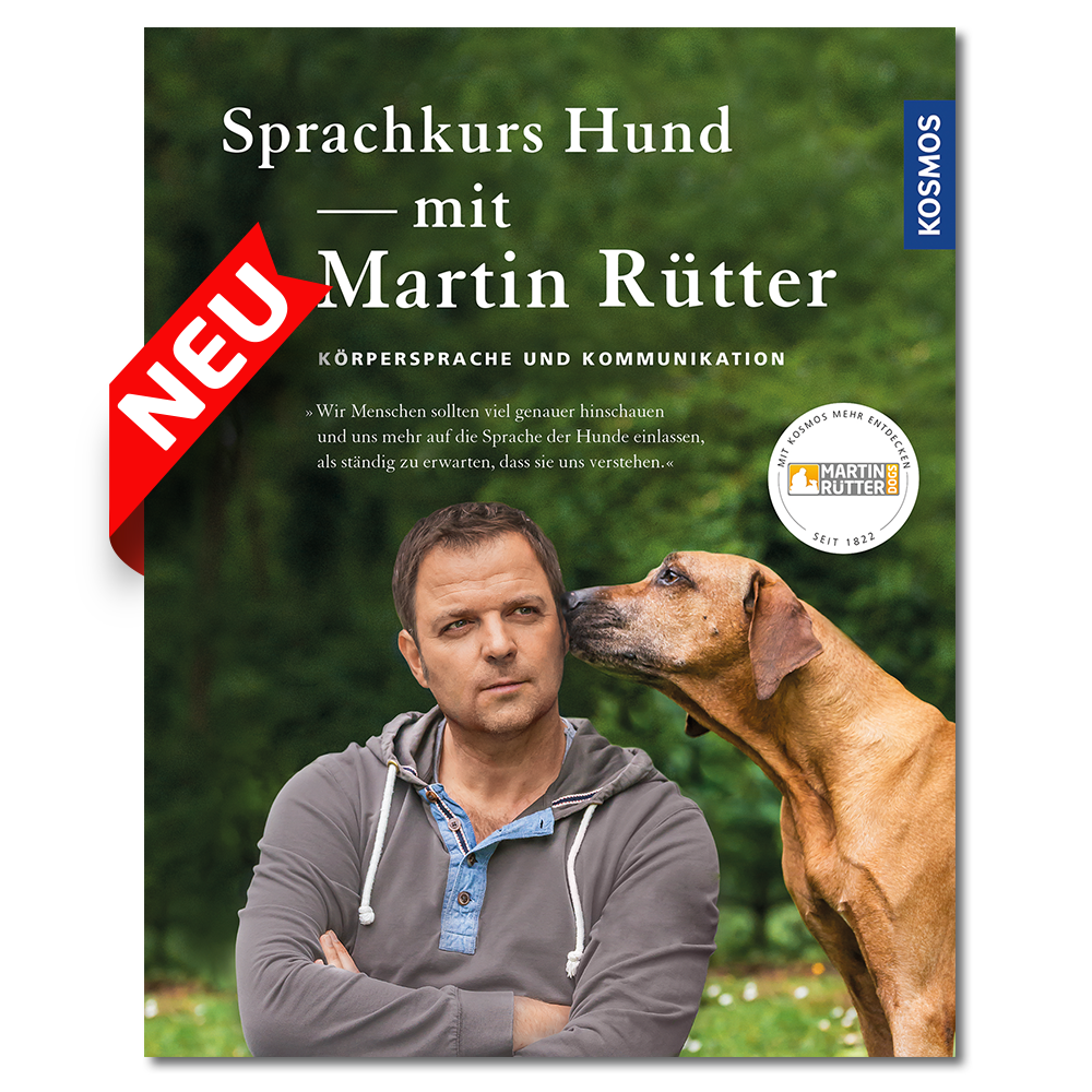 Hund Folgt Auf Schritt Und Tritt Martin Rütter
