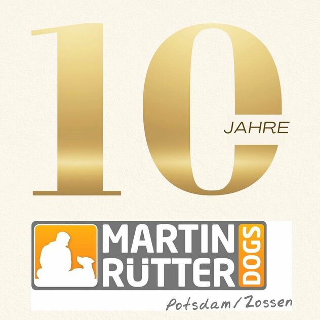 Ankündigung 10 Jahre Martin Rütter DOGS Potsdam Zossen Special Event