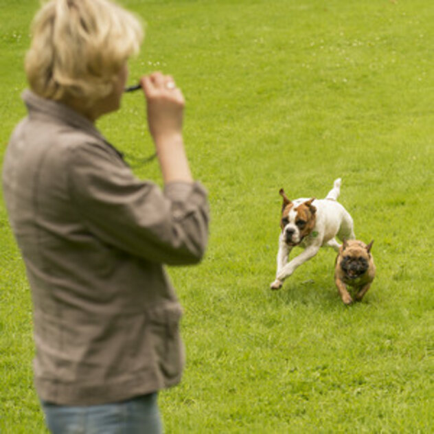 Frau mit Hundepfeife und zwei Hunden