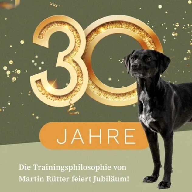 Martin Rütter Jubiläum 30 Jahre Hundetraining Hundeschule