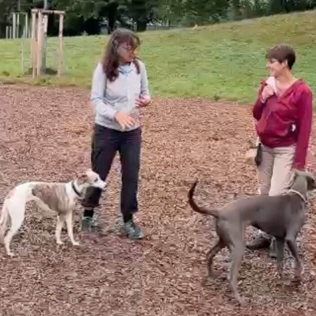 Martin Rütter Hundetrainerin Claudia Fink mit Kundin Marita auf der Hundewiese zum Training gegen Maritas Angst vor Hunden