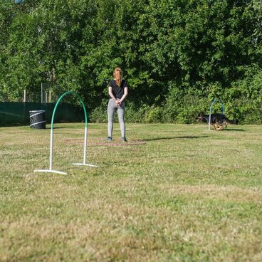 Hund läuft Hoopers Parcours