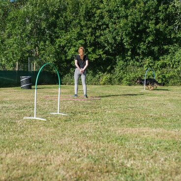 Hund läuft Hoopers Parcours