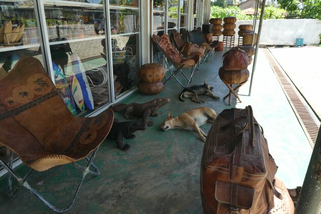 Streuner schlafen vor Souvenirgeschäft auf Sri Lanka