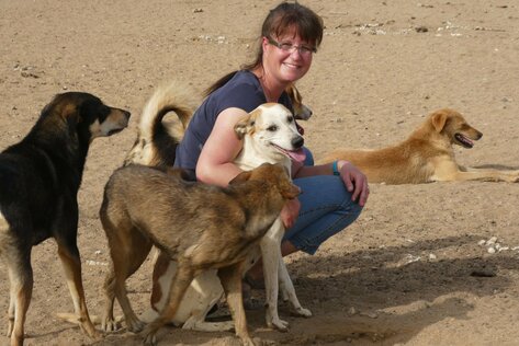 Doreen Hörchner mit Tierheimhunden in Kairo