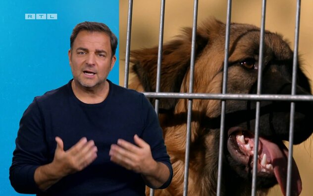 Martin Rütter kommentiert einen Ausschnitt zu Calito aus "Die Unvermittelbaren"