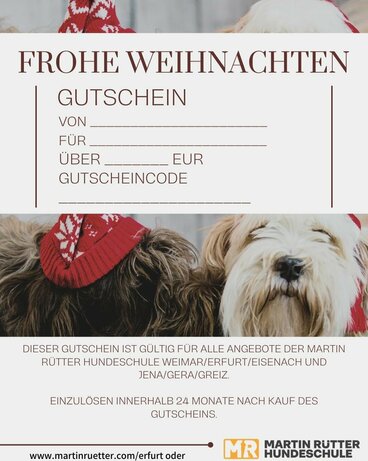 Gutschein für Hundetraining