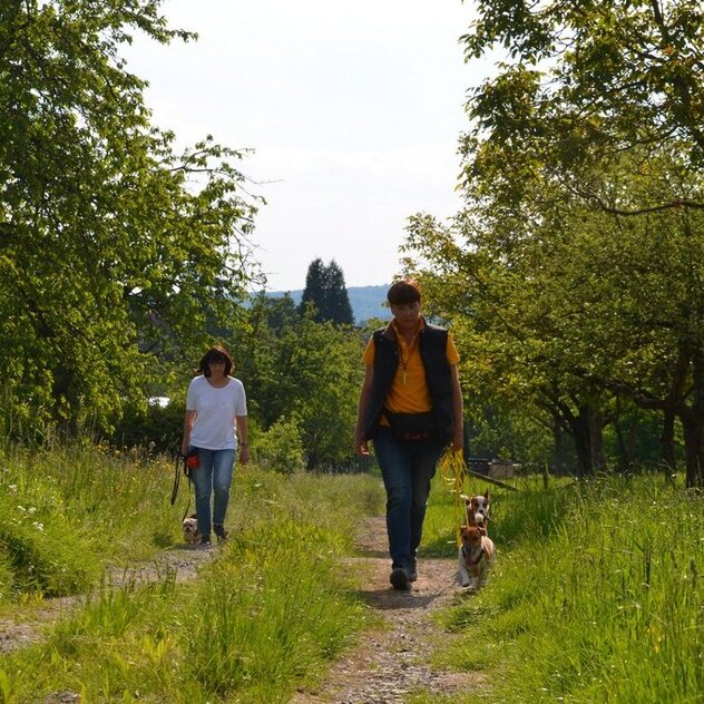 Halter gehen im Abstand zueinander gemeinsam mit Hund an der Leine spazieren.