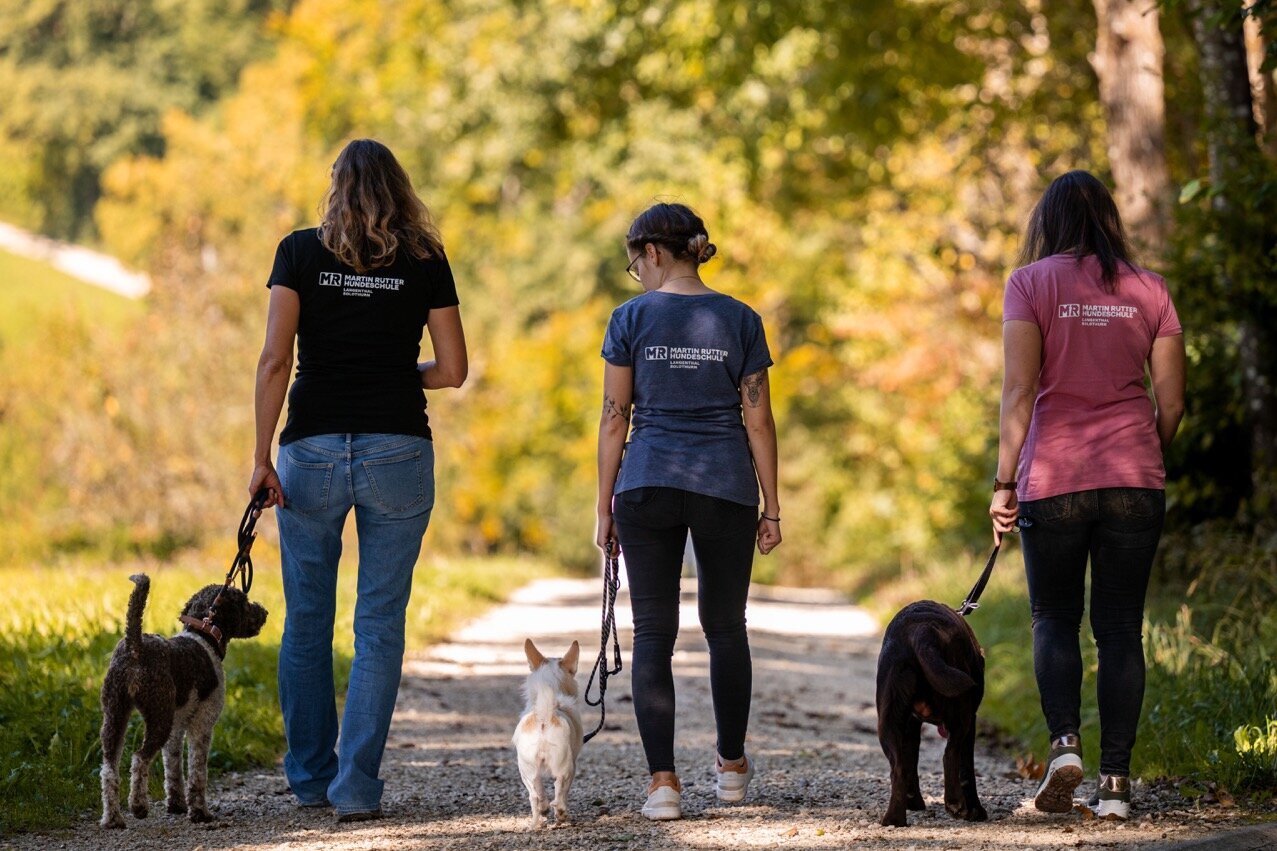 Claudia, Tanja und Priscilla laufen zusammen mit ihren angeleinten Hunden von der Kamera weg
