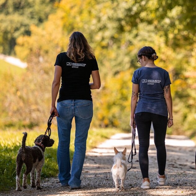 Claudia, Tanja und Priscilla laufen zusammen mit ihren angeleinten Hunden von der Kamera weg