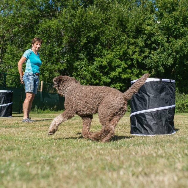 Hund läuft um Tonne