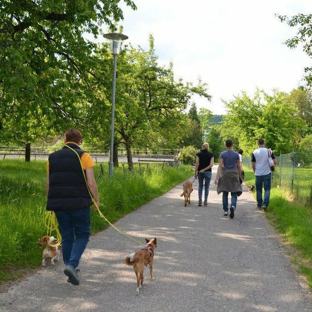 Halter gehen im Abstand zueinander gemeinsam mit Hund an der Leine spazieren.