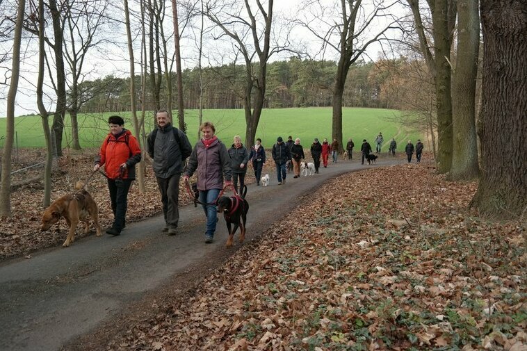 Wandergruppe mit Hunden