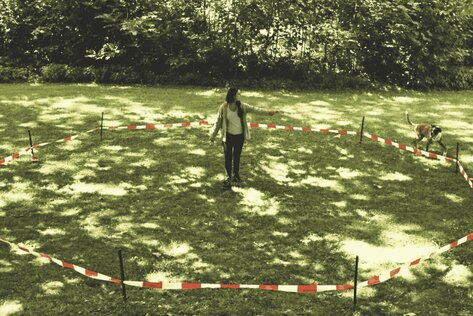 Themenstunde Distanztraining in Erding & Ebersberg – erste Schritte am Kreis