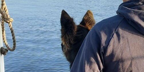 Hundetraining Basis: Mensch mit Altdeutscher Schäferhündin sitzt entspannt am Wasser auf einem Steg.