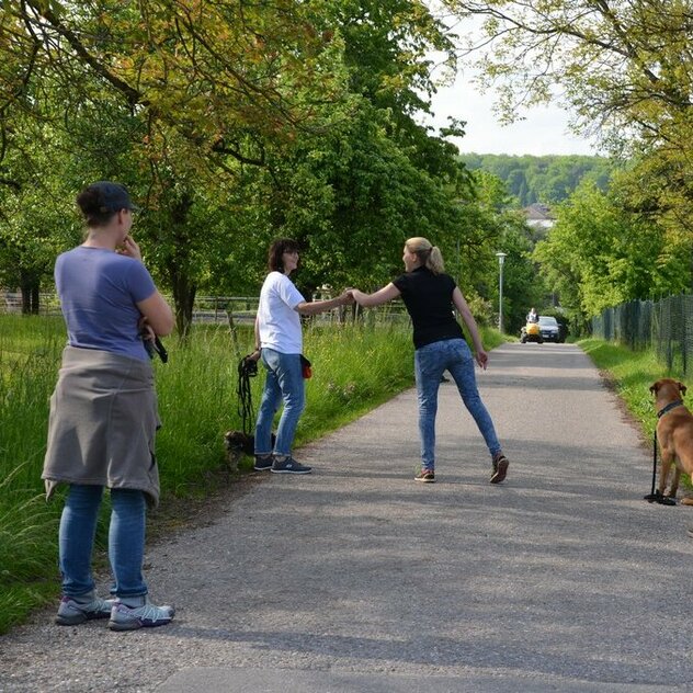 Halter üben die Begrüßungssituation mit anderen Haltern, während Hunde warten müssen.