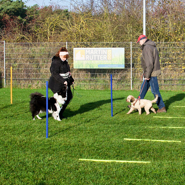 Gruppentraining im Stundenplan