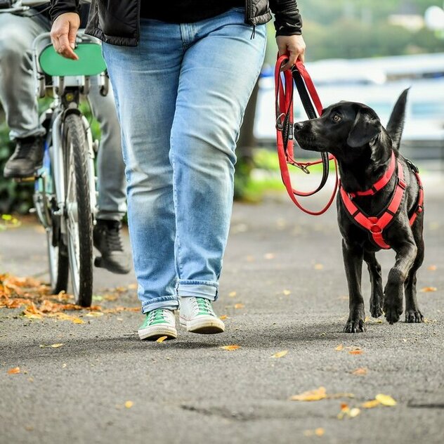 Stadttraining, Alltagstraining