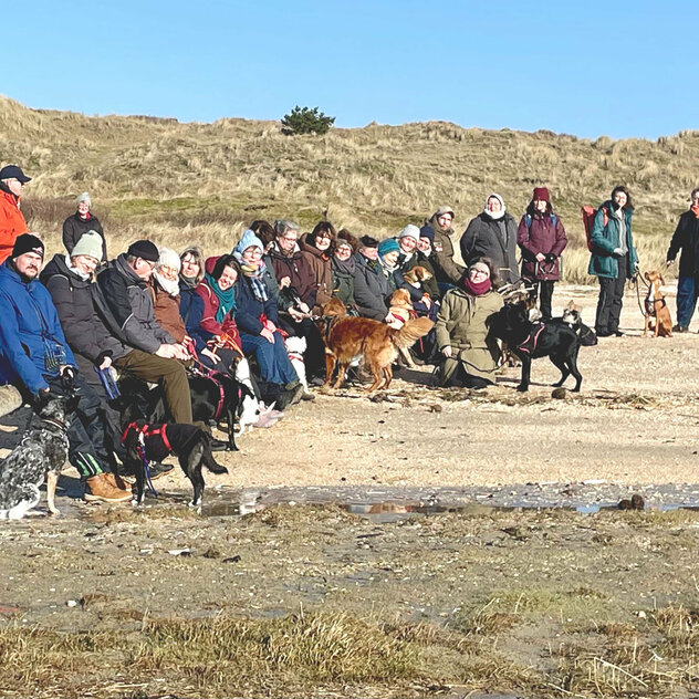 Urlaub mit Hund: Eine Gruppe Menschen mit Hunden am Strand.