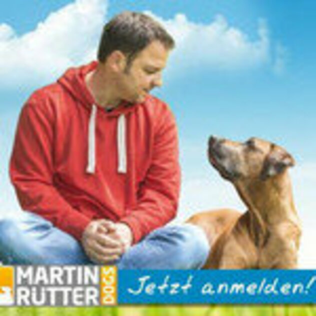 Hundeführerschein Bild mit Martin